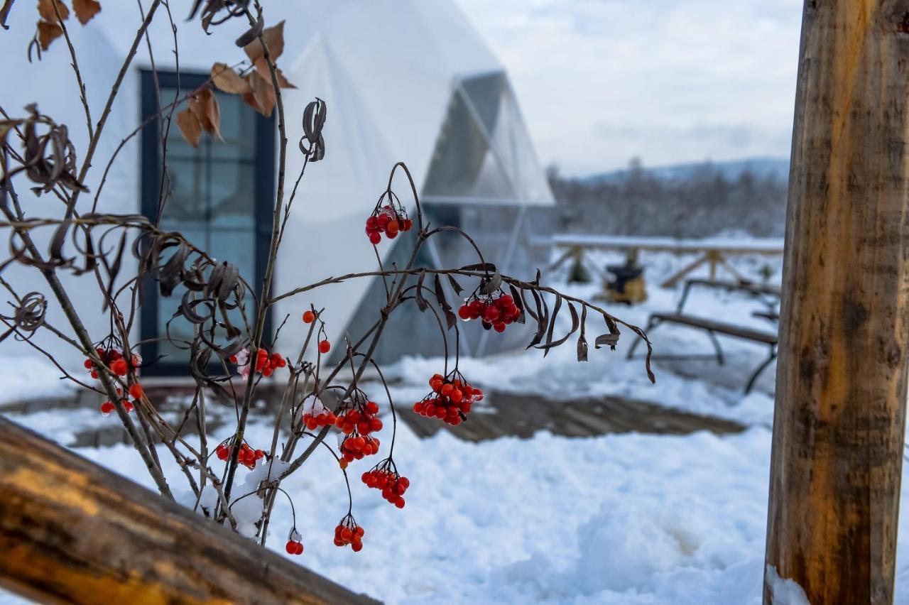 Hotel Глемпінг Едельвейс Oryavchyk Esterno foto